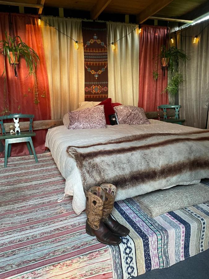 فندق Rider'S Glamping Back المظهر الخارجي الصورة